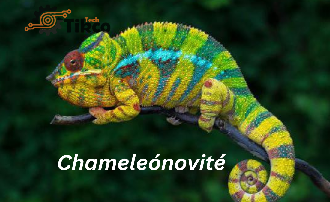 Chameleónovité