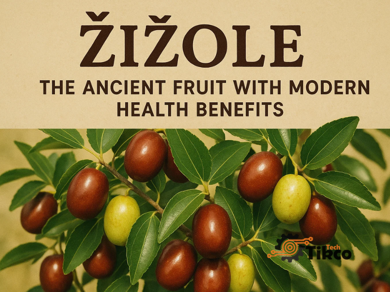 Žižole: The Ancient Fruit with Modern Health Benefits